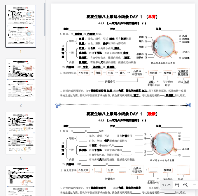 【完整版】夏夏生物新八上默写小纸条